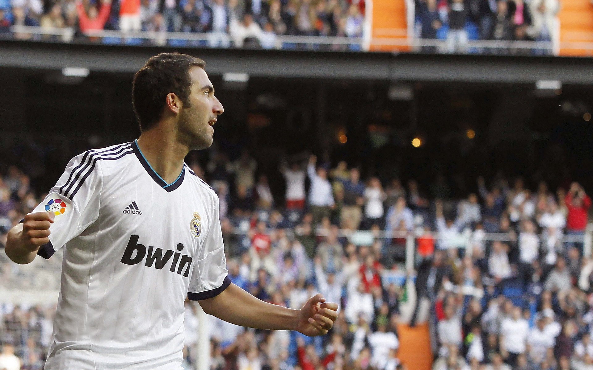 Kaiyun官方登录入口-球迷协会组织万人观赛活动反响热烈，球迷协会组织万人观赛活动反响热烈怎么写