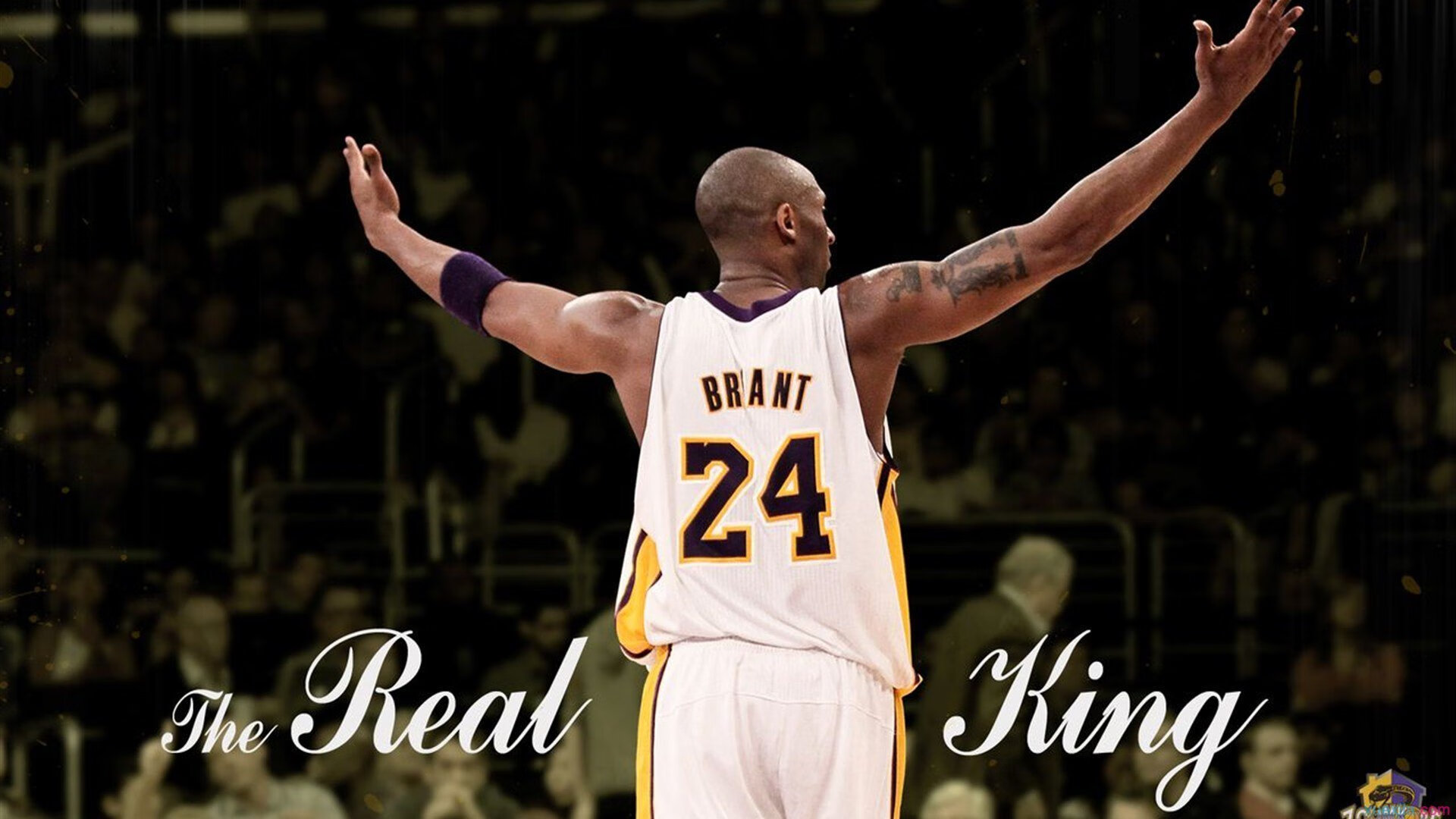 推出线上瑜伽课程,方便学员随时学习,有没有好的线上瑜伽课程